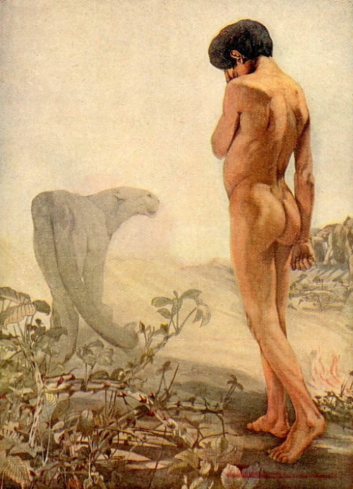 fannybaws:  Bagheera & Mowgli, by Maurice & Edward Detmold. llustration for a 1903 edition of The Jungle Book by Rudyard Kipling. 