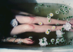 Alice-N-Wonder-Land:  ☯ Soft Grunge/Vintage Here ☯