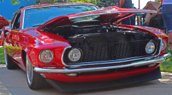 outthefrontwindow:  Mustang Riding Low.. Arvada CO August 2012