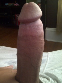 being-horny-is-fun:  Well, this guy woke me up this morning early lol.