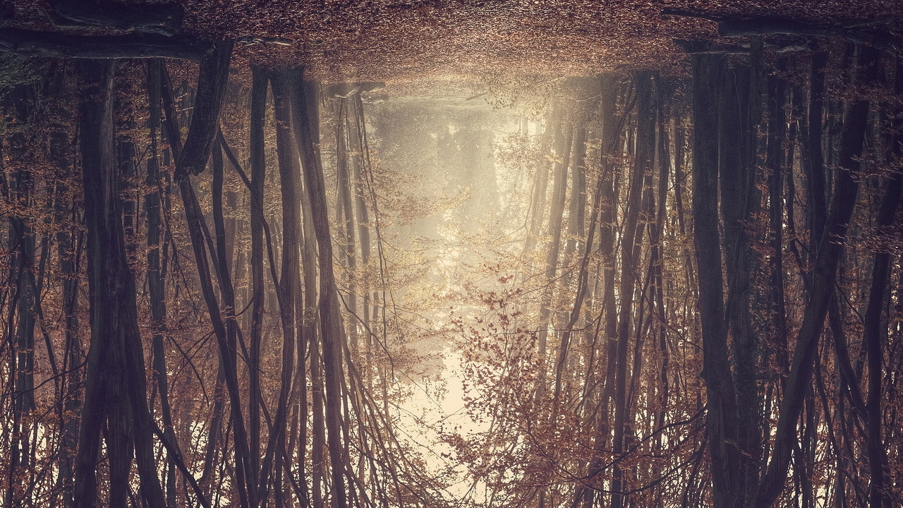 decepticvnt:  looks really cool to me upside down