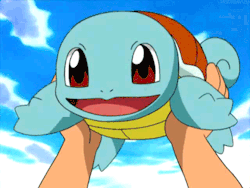 Everyone needs adorabe Squirtle on their