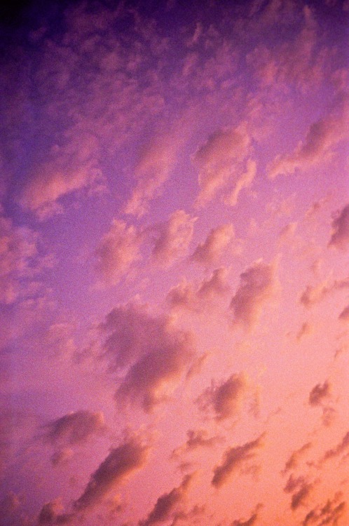 ra9er:  by Doha Sam 