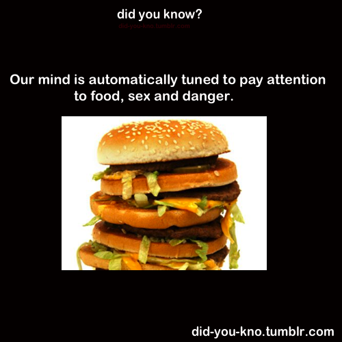did-you-kno:  Source 