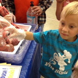 Peter holding a pigs eyeball at the fair.