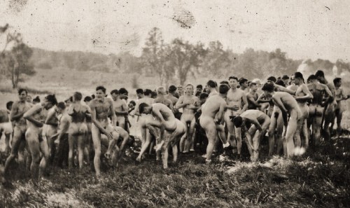 Oh my word, fifty followers! Here, have a vintage photograph of a lot of naked men, you jolly well d