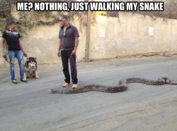 memewhore:  Slithering.  Slithering your