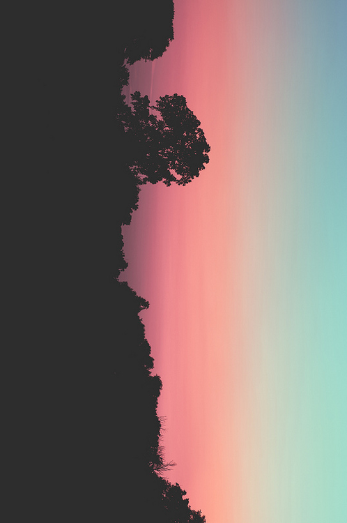 paradise