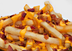 avi0o0olaa:  foodgasum:  Bacon cheese fries :)  omg 