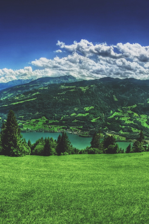 calms:  nature/vintage blog 