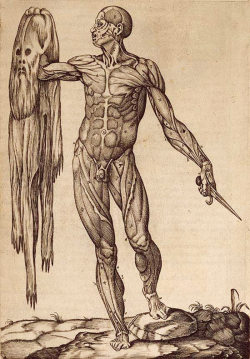endesatino:Anatomia del corpo humano-Juan Valverde de Amusco (1525 - 1588)