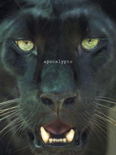 1001Movies - Apocalypto. 2007. #1048. 3/5.