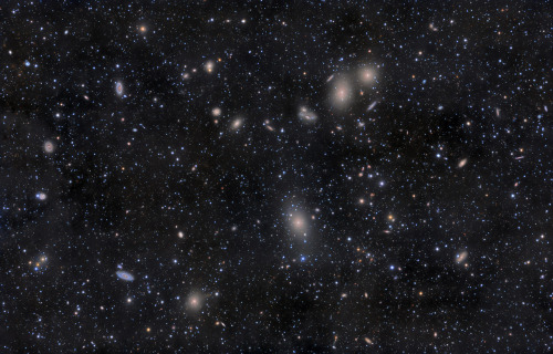 n-a-s-a:  Virgo Cluster Galaxies  Image Credit & Copyright: Rogelio Bernal Andreo