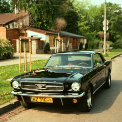 mustangsteve:  buddabar:  I am the author of all images: http://www.facebook.com/pages/Michal-Buddabar/170882719652325 www.michal-buddabar.blogspot.com Ford Mustang hasselblad   I love this coupe. I’d buy one cheap and just put the most insane amount