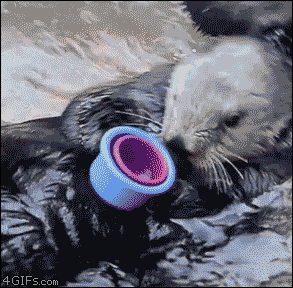 mak-eba:  livindavidaloki:  noelxazul:  glaston-berry:  WHAT THE FUCK, MANYOU GIVE ME THIS FUCKING CUP AND IT DOESN’T EVEN FITYOU’RE AN ASSHOLE   SO OTTERLY DONE WITH YOU.  OH GOD I CAN’T   