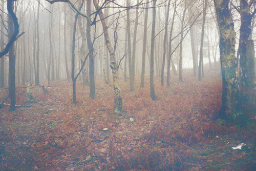 Just Dream