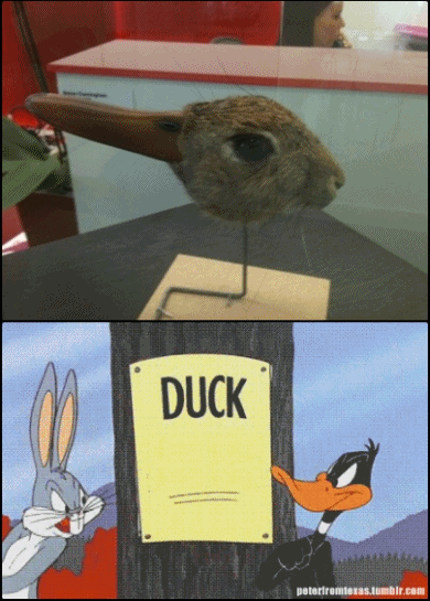 anti-heroico:  é um pato meio acoelhado com a mistura de um coelho meio apatado