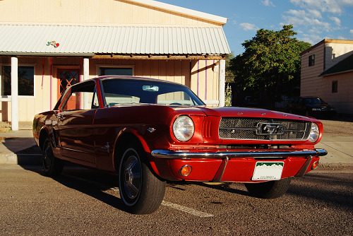 Ford Mustangs