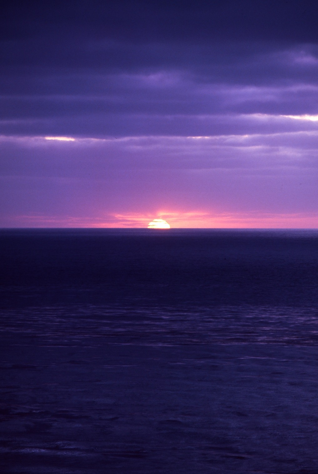 c0caino:   by Aranjuez Chou