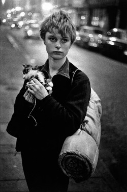 secretcinema1:Girl Holding Kitten, London, 1960, Bruce Davidson