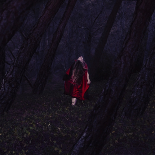 alive in the forest of old (by brookeshaden)