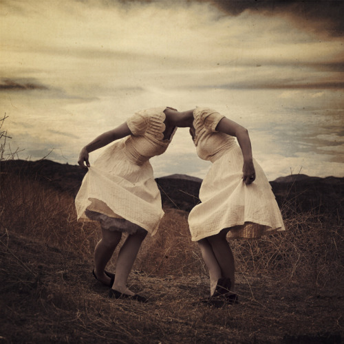a chance encounter (by brookeshaden)