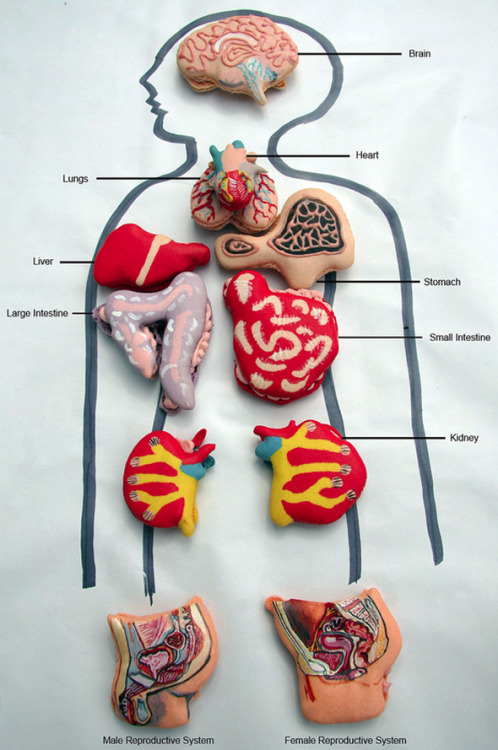 Hand-Painted Anatomical Macarons by Miss Insomnia Tulip.
Who says you cannot have fun with your food. Here is some more creative food for thought.