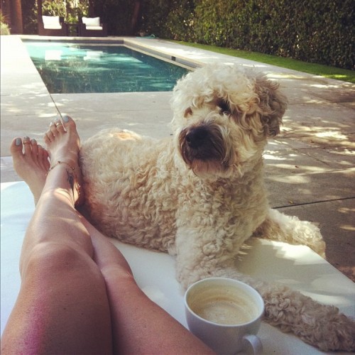 Daisy pool side.