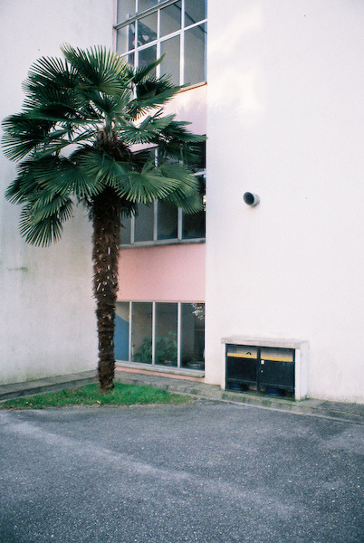 centzo:  hey high school pt.I | by (MárioMacedo) 