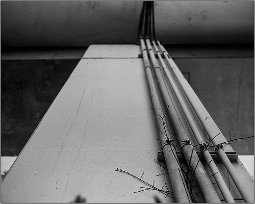 onlyanticlimactic:  wired #flickstackr Flickr: http://flic.kr/p/d2k9fJ 