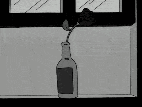 no sugar, please