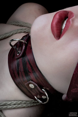 hazeleyes2012:  Collared and roped