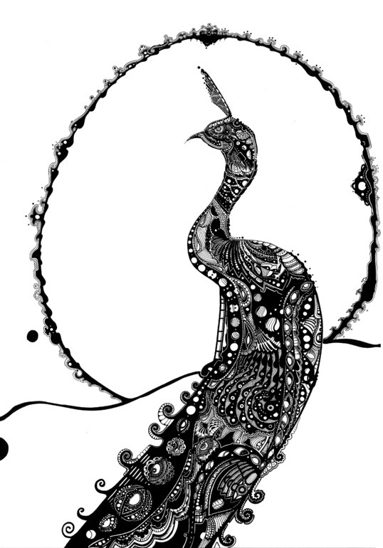myampgoesto11:  Illustrations by Axel Bernard