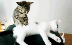 un masajito :3  @AdorableBipolar ?