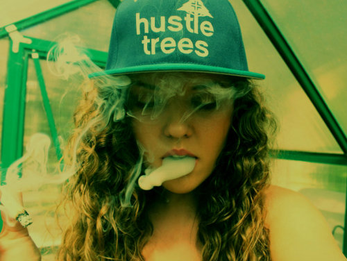 saativaa:  brann replied to your photo: Green house   caan you post the color version this is too dope        