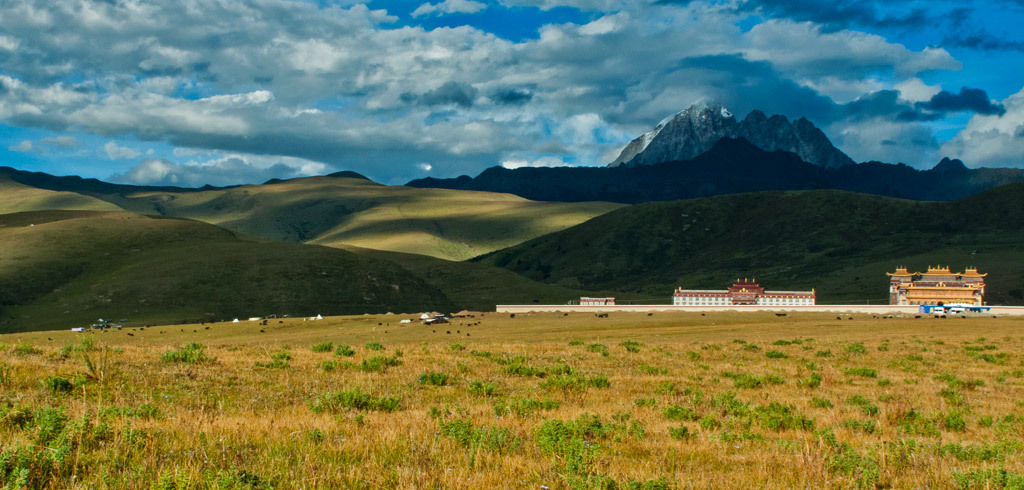 Songs of Shambala
“ As it was, Claire and I didn’t get sick. We took Chinese medicine made from the roots of an Arctic shrub for the duration of our journey along the Sichuan-Tibet Highway and at elevations of 4,000 metres and above we felt short of...