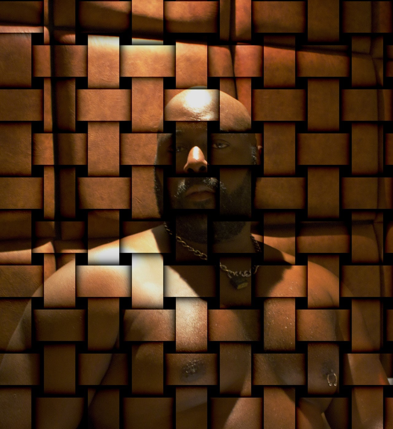 dethickness:  onyxma:  Black Bear  http://dethickness.tumblr.com/archive 