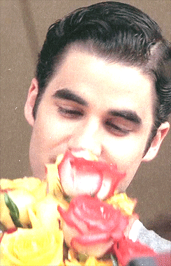 "Rose is a Rose is a Rose"