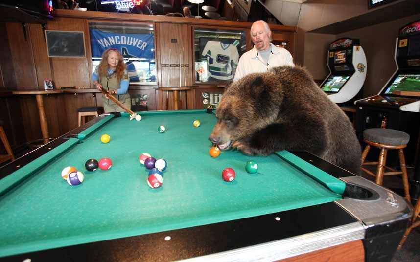 allcreatures:  allcreatures: Mark and Dawn Dumas play pool with their real-life teddy