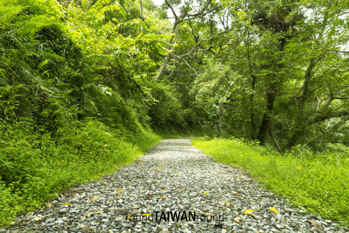 Walami Located in Yushan National Park (玉山國家公園), Walami Trail (瓦拉米步道) is featured with waterfall, gr