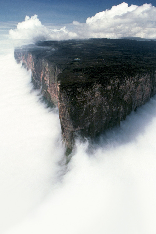 Porn hehadaname:  markliddell:  Mount Roraima photos