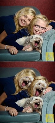 collegehumor:  Barking Dog Face Replace They look happier in the second photo.
