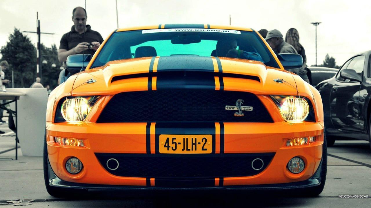 Ford Mustangs
