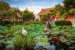 fuckyeahdisneyphotography:  Epcot - Lily Pad Hunter http://bit.ly/N1tjxX