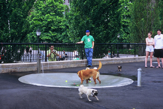 Landscape design has gone to the dogs … literally! I love this piece by landscape designer Lisa DuRussel about designing urban spaces with pooches in mind. Sure, most dog runs don’t have a lot of plants in them, but landscape design is often about...
