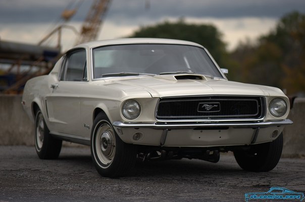 Ford Mustangs