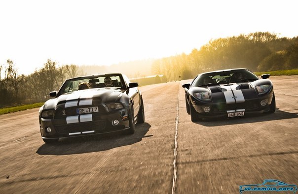 Ford Mustangs