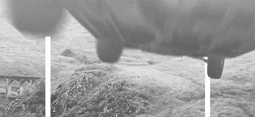 The Best of Tumblr Blog - 1000notes.com