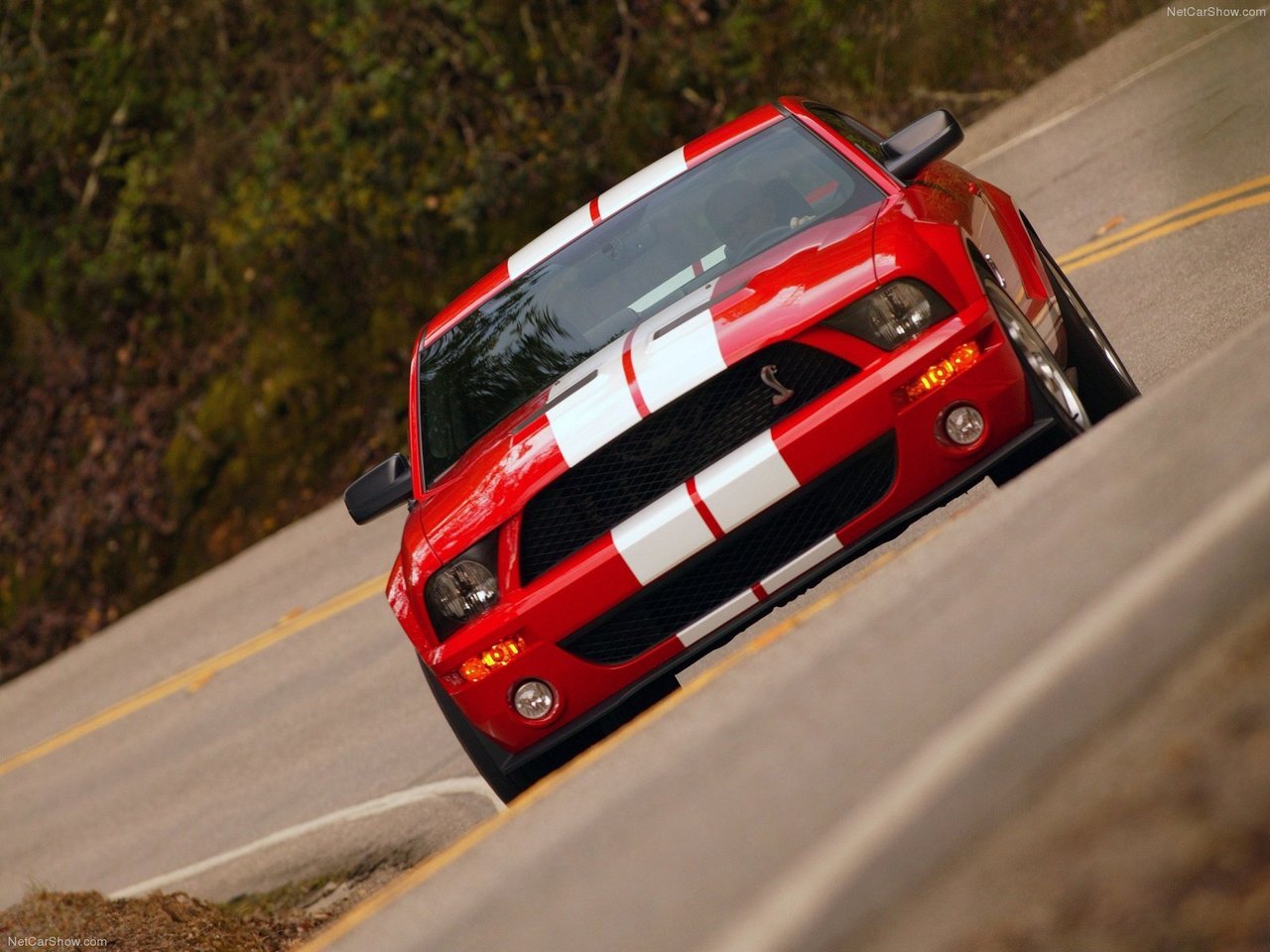 Ford Mustangs