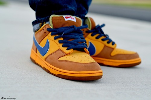 newcastle sb dunks